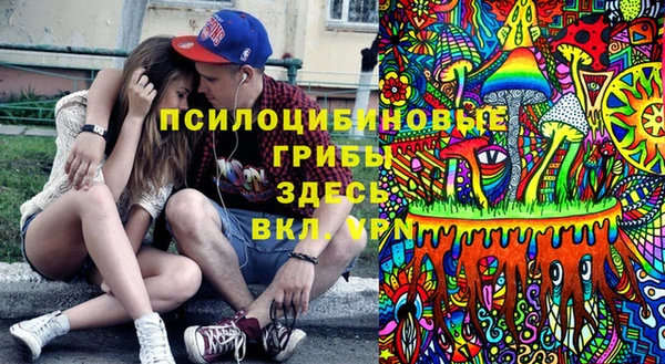 spice Белокуриха