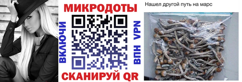 цены наркотик  Вязники  Псилоцибиновые грибы мухоморы 