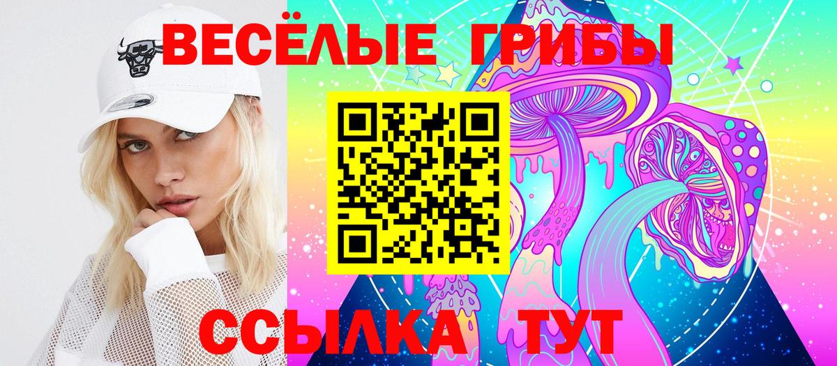 продажа наркотиков  Вход с VPN  Галлюциногенные грибы Cubensis  Вязники  Галлюциногенные грибы мухоморы 